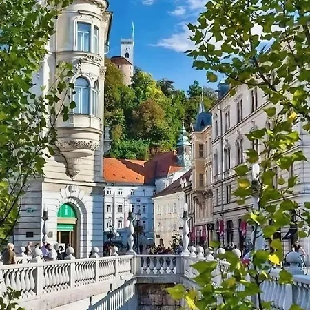 Little Plaza Duplex * Любляна
